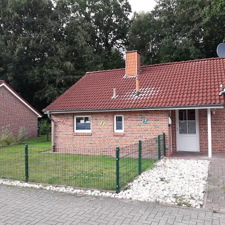 Pusteblume Papenburg